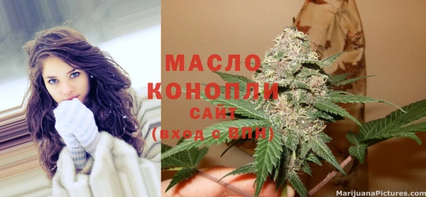 прущие грибы Абинск