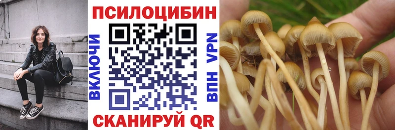 где продают   Белоусово  Псилоцибиновые грибы прущие грибы 